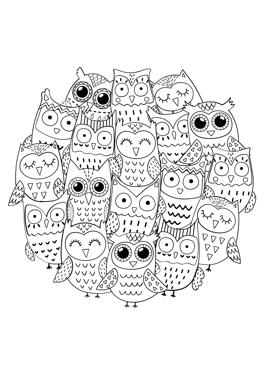 Chouettes Coloriage