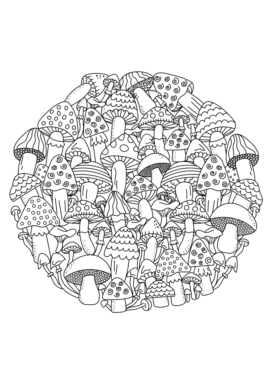 Champignons